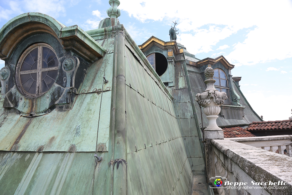 VBS_5996 - Sotto il Cervo - Palazzina di Caccia di Stupinigi.jpg
